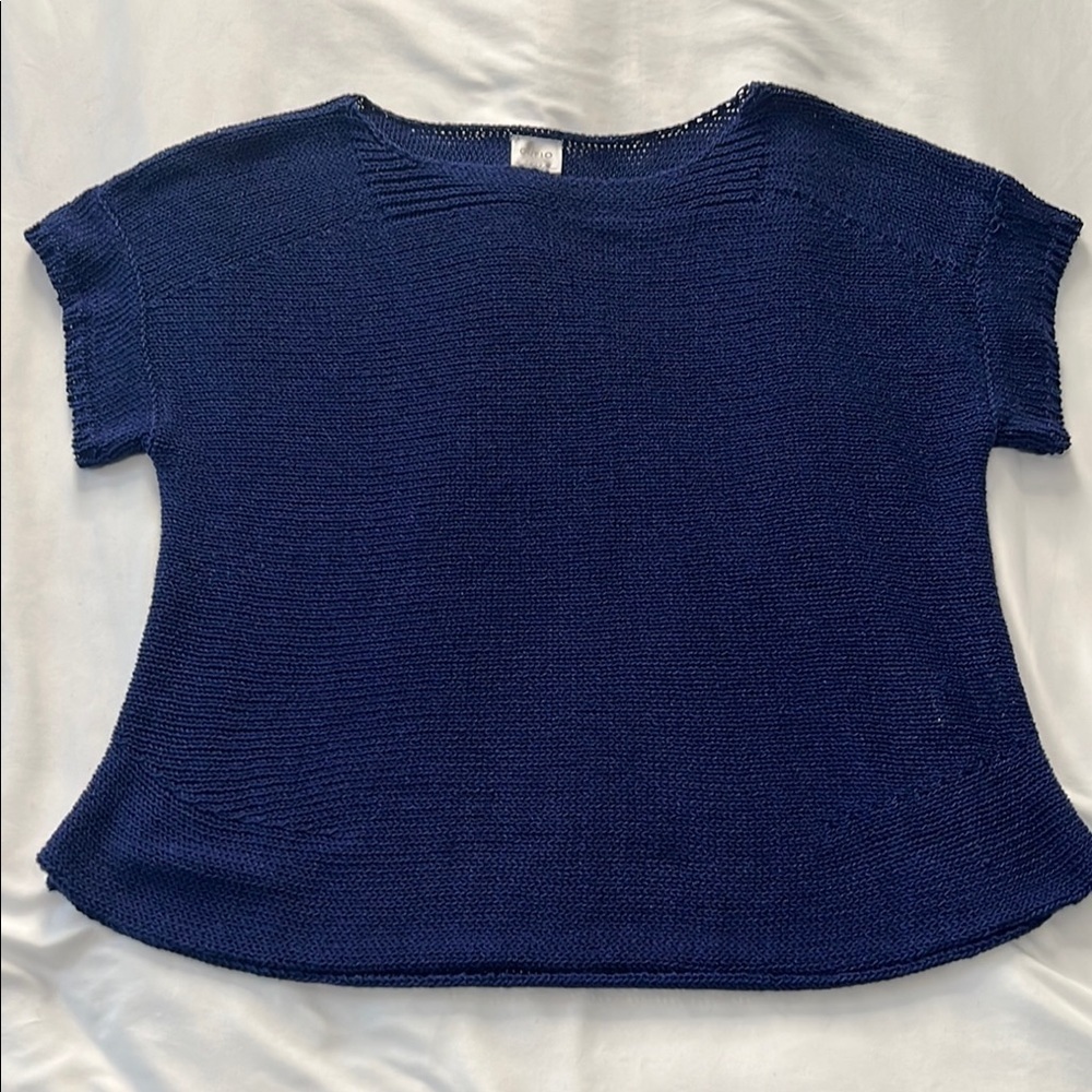Cupio Shirt Sleeve Lightweight Sweater